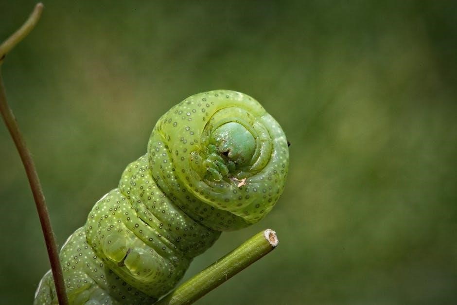 texas caterpillar identification chart pdf