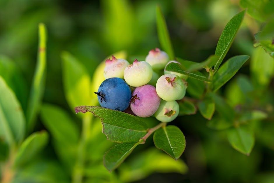 miami fruit ripening guide