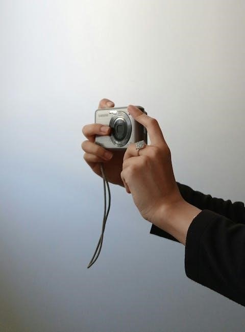 whistler radar detector manual