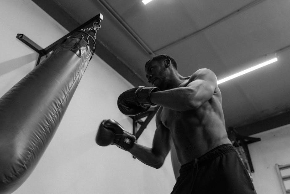 12 week strength and conditioning program pdf