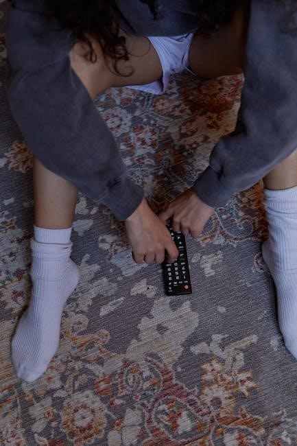 kozy heat remote control manual