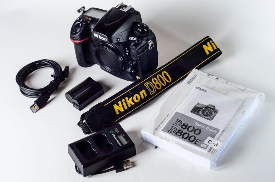 nikon fm2n manual