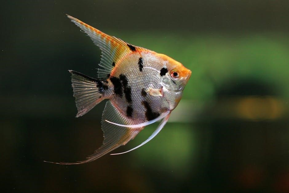 lego fish tank instructions