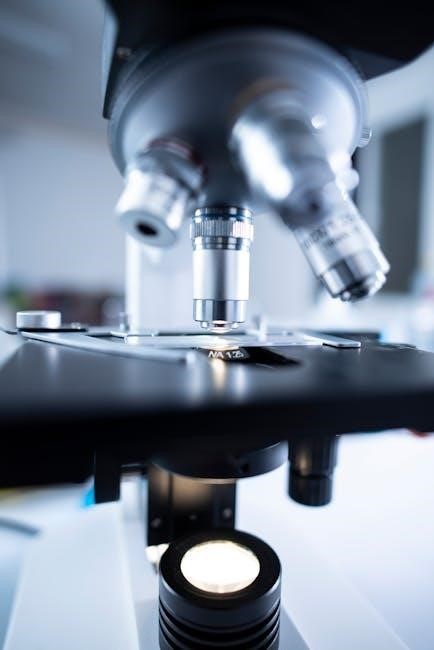 reference letter sample pdf